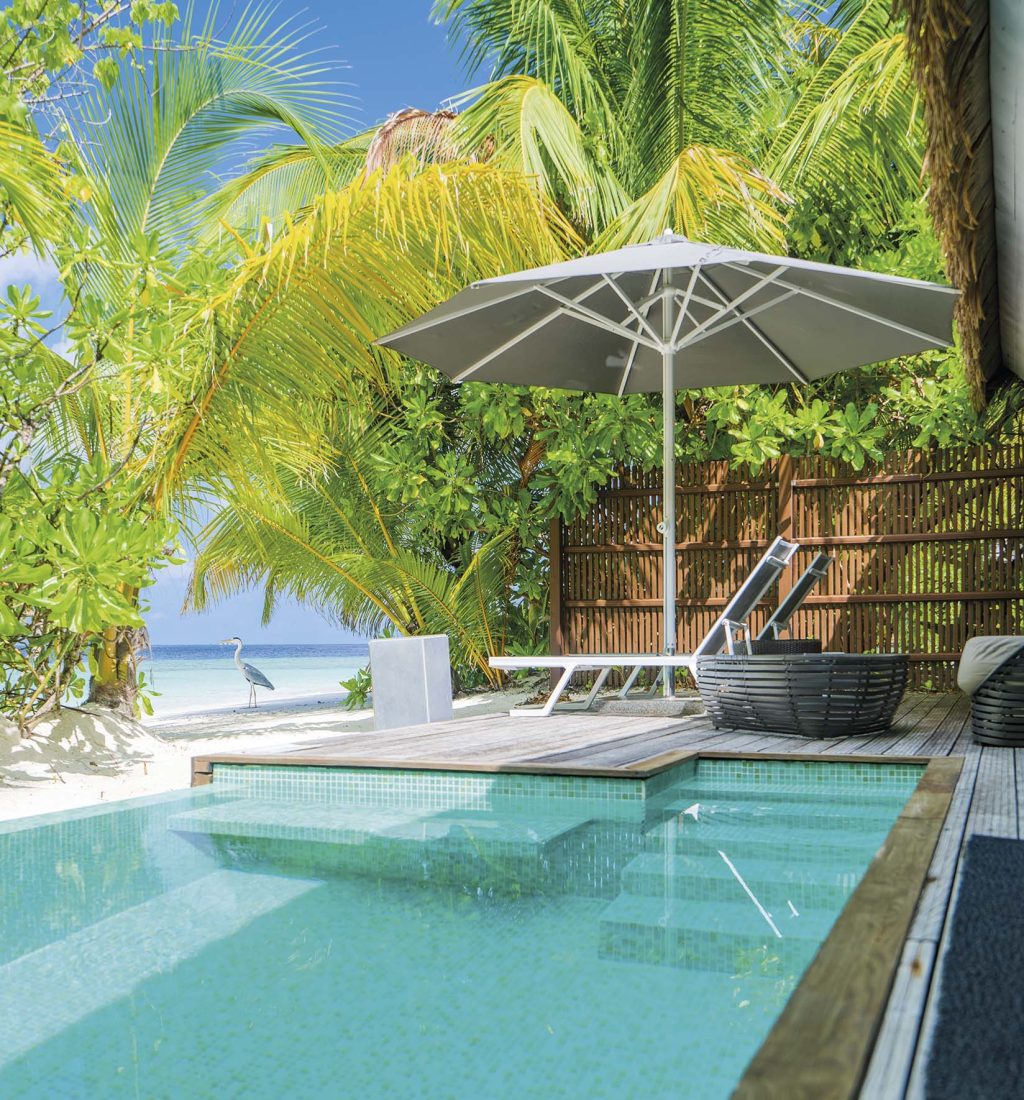 Pool-villa-kandolhu-vaerelse-udsigt-fiskehejre-Maldiverne